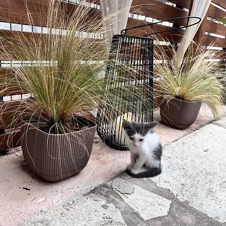 ραστώνη Feriehus Tolón